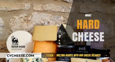 Exploring the Rich, Bold World of Hard Cheese Varieties and Flavors