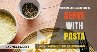 Perfect Pairings: Top Hard Cheeses to Elevate Your Pasta Dishes