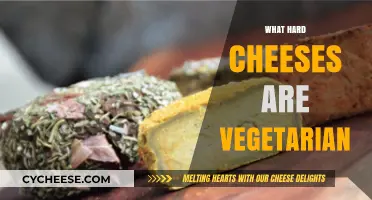 Vegetarian-Friendly Hard Cheeses: A Guide to Animal-Free Options
