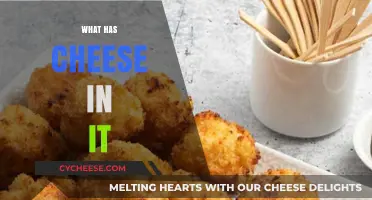 Delicious Cheese-Filled Foods: Exploring Dishes with Cheesy Goodness Inside