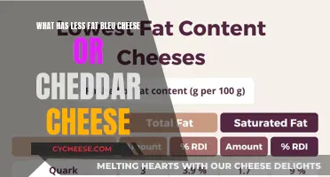 Comparing the Fat Content: Bleu Cheese vs. Cheddar