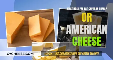 Cheddar vs. American: Unveiling the Fat-Free Champion