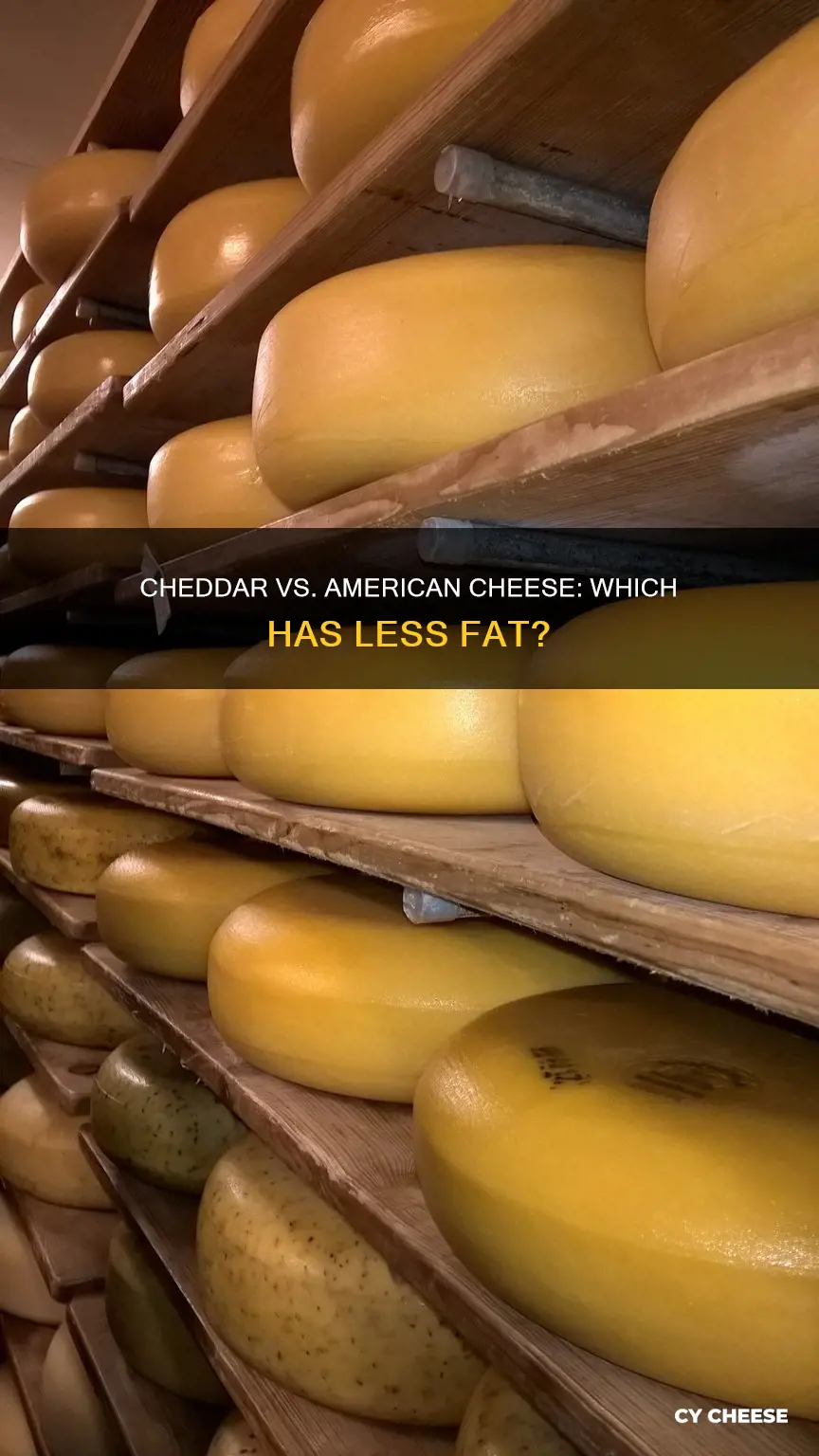 what has less fat cheddar cheese or american cheese