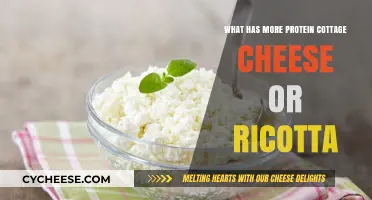 Cottage Cheese vs. Ricotta: Which Cheese Packs More Protein?
