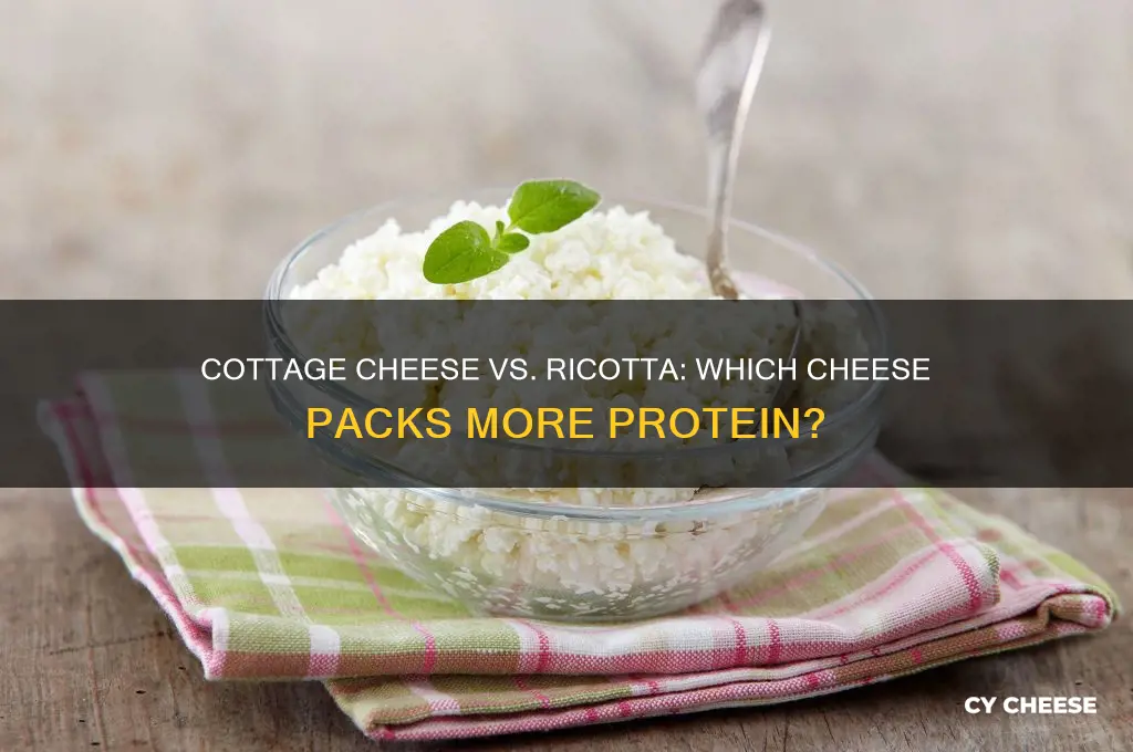 what has more protein cottage cheese or ricotta