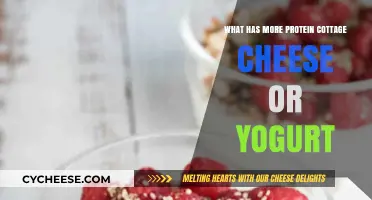 Cottage Cheese vs. Yogurt: Which Packs More Protein Punch?