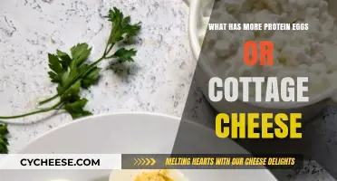 Eggs vs. Cottage Cheese: Which Protein Source Reigns Supreme?