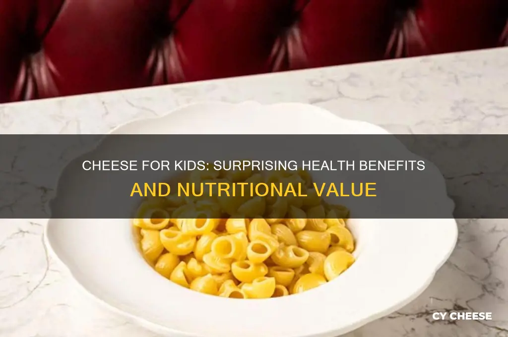 what health benefits does cheese have for kids