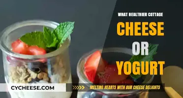 Cottage Cheese vs. Yogurt: Which Dairy Delight is Healthier?