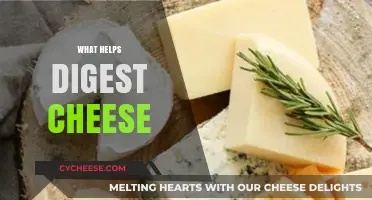 Boost Cheese Digestion: Tips and Tricks for Comfortable Enjoyment