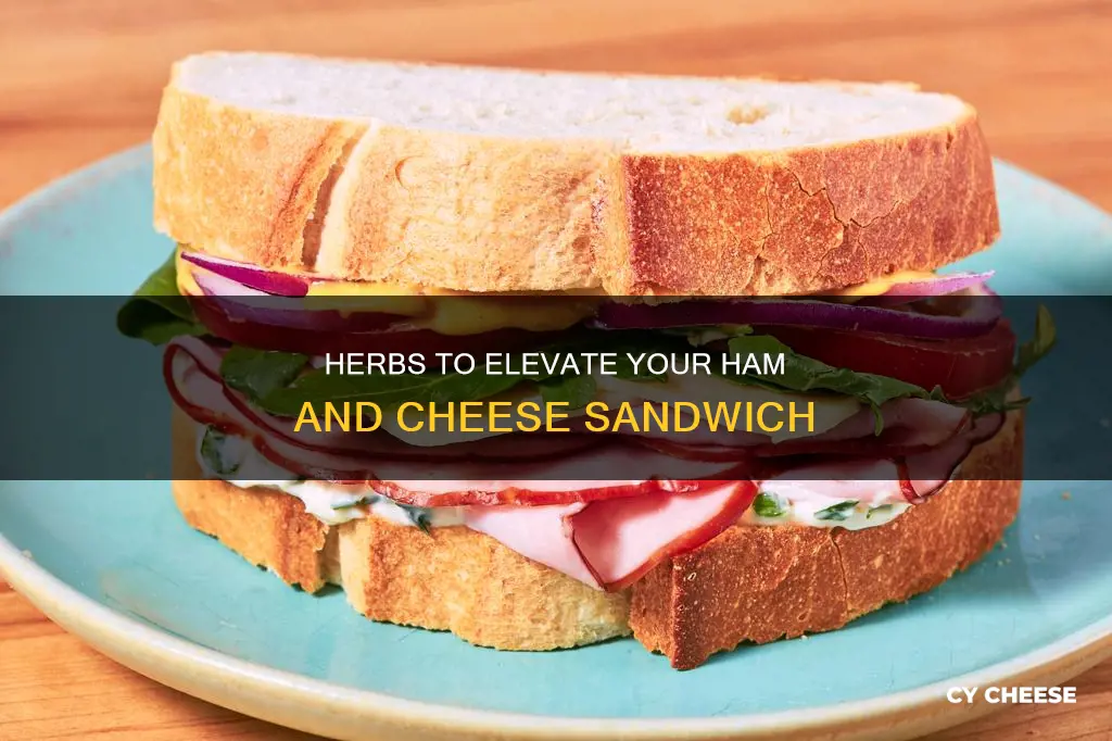 what herb goes best on ham and cheese sandwich