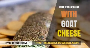 Perfect Pairings: Herbs That Elevate Your Goat Cheese Dishes
