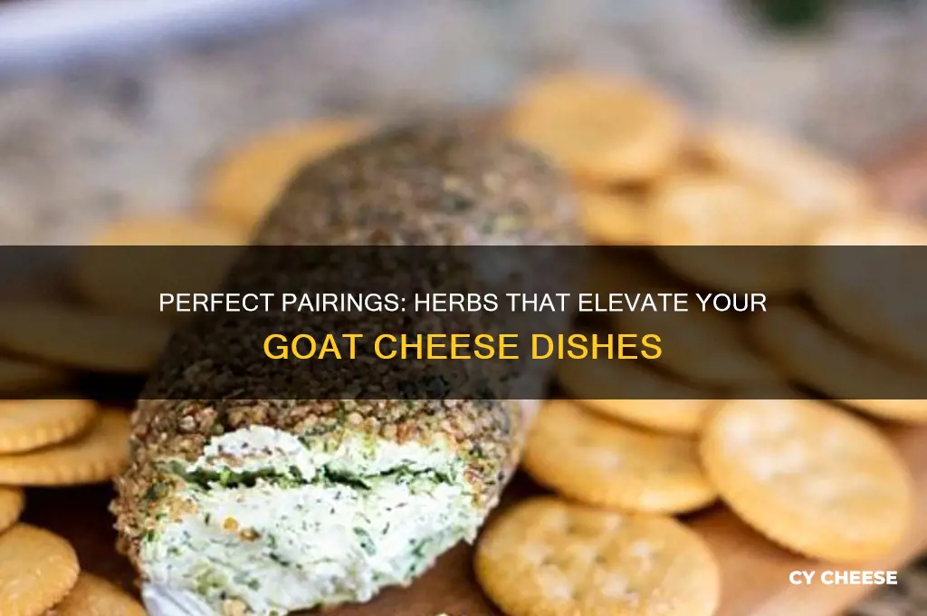 what herb goes good with goat cheese