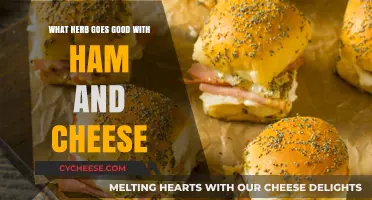 Perfect Herb Pairings: Elevate Your Ham and Cheese Creations with Flavor