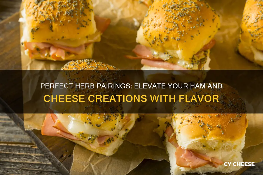 what herb goes good with ham and cheese