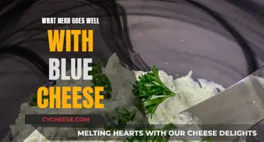 Blue Cheese's Perfect Herb Companion: Finding the Right Match