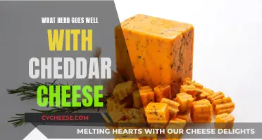 Herbs That Perfectly Complement Cheddar Cheese's Sharpness