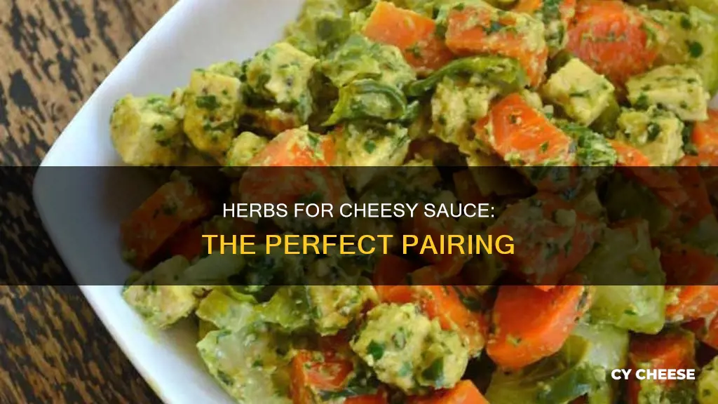 what herb goes with cheese sauce