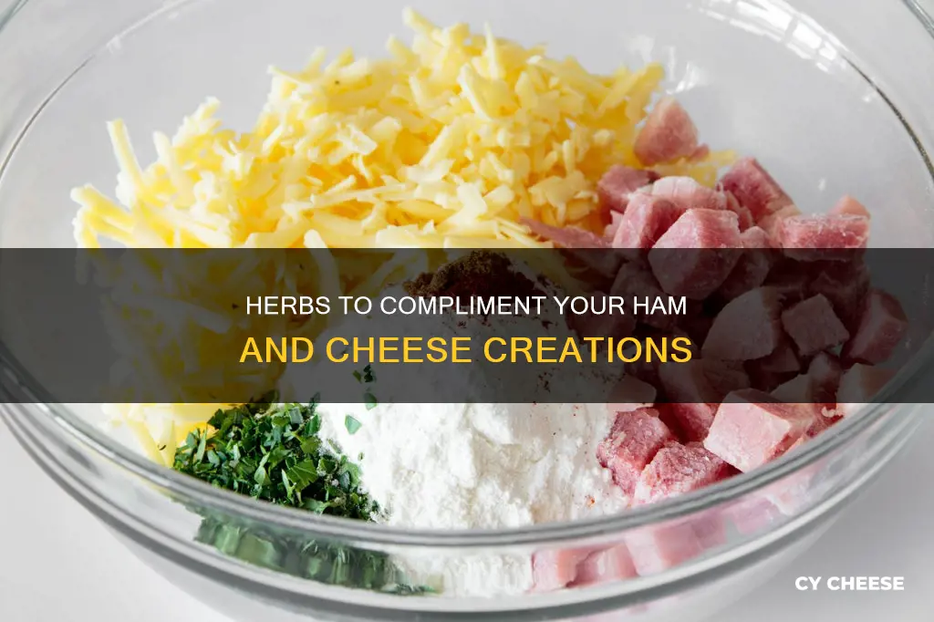 what herb goes with ham and cheese