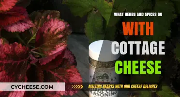 Flavorful Pairings: Herbs and Spices to Elevate Your Cottage Cheese