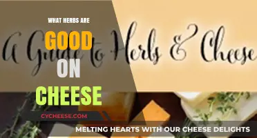 Herbs That Perfectly Complement Cheese: Elevate Your Cheese Board