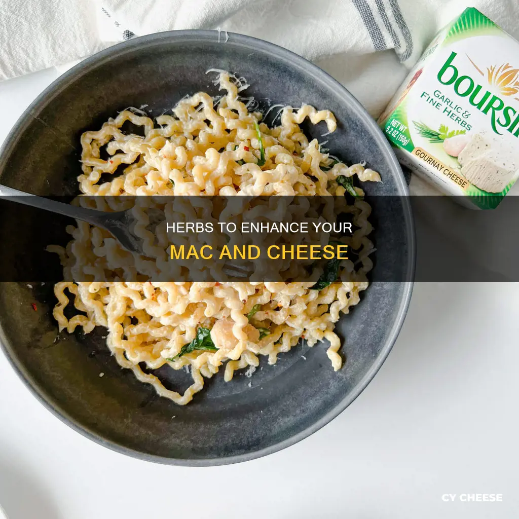 what herbs go with macaroni cheese