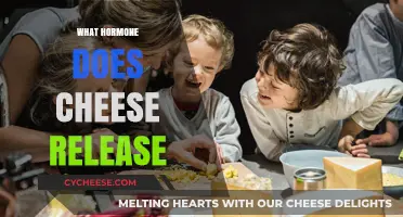 Cheese and Hormones: Unraveling the Science Behind Its Feel-Good Effects