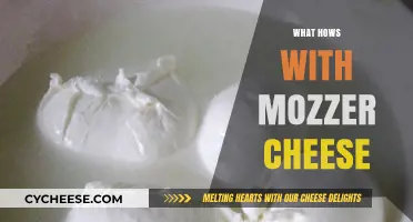 Mozzarella Cheese Secrets: How It's Made, Used, and Perfected