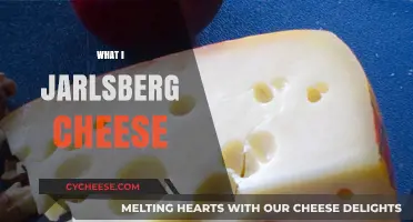Exploring Jarlsberg Cheese: Origins, Flavor, Uses, and Pairings