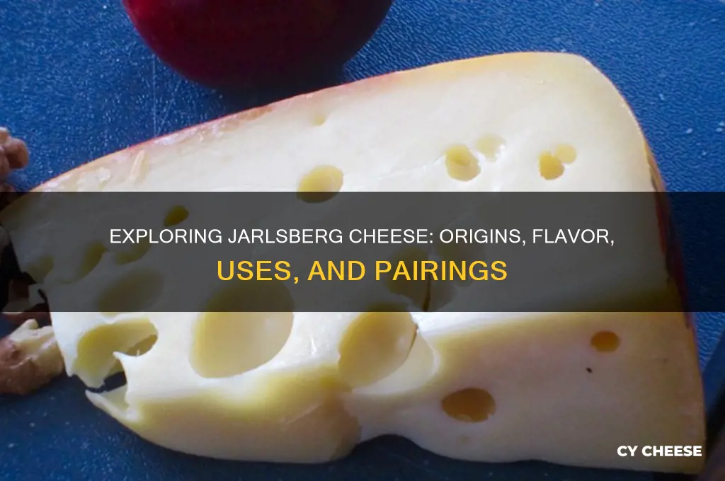 what i jarlsberg cheese
