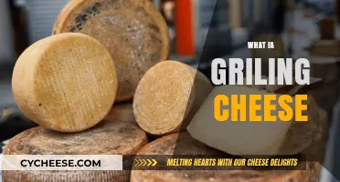 Mastering the Art of Grilling Cheese: Tips, Tricks, and Techniques