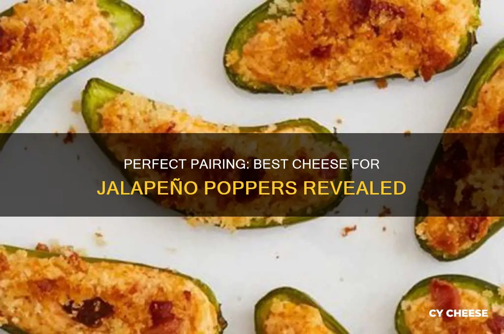 what ia the beat cheese for jalapeno poppers
