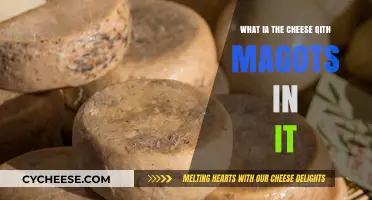 Exploring Casu Marzu: The Maggot-Infested Cheese Delicacy Explained