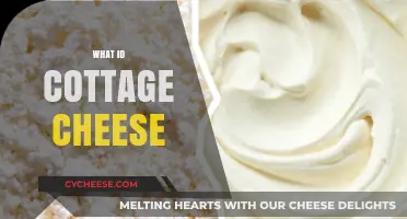 What is Cottage Cheese? A Nutritious, Versatile, and Creamy Dairy Delight