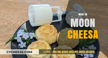 Unveiling the Mystery: What is Moon Cheese and How is it Made?