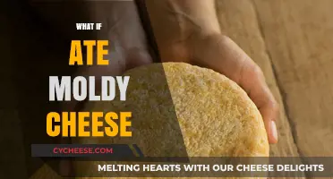 What Happens If You Eat Moldy Cheese: Risks and Reality