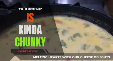 Cheese Soup Conundrum: Chunky or Not?