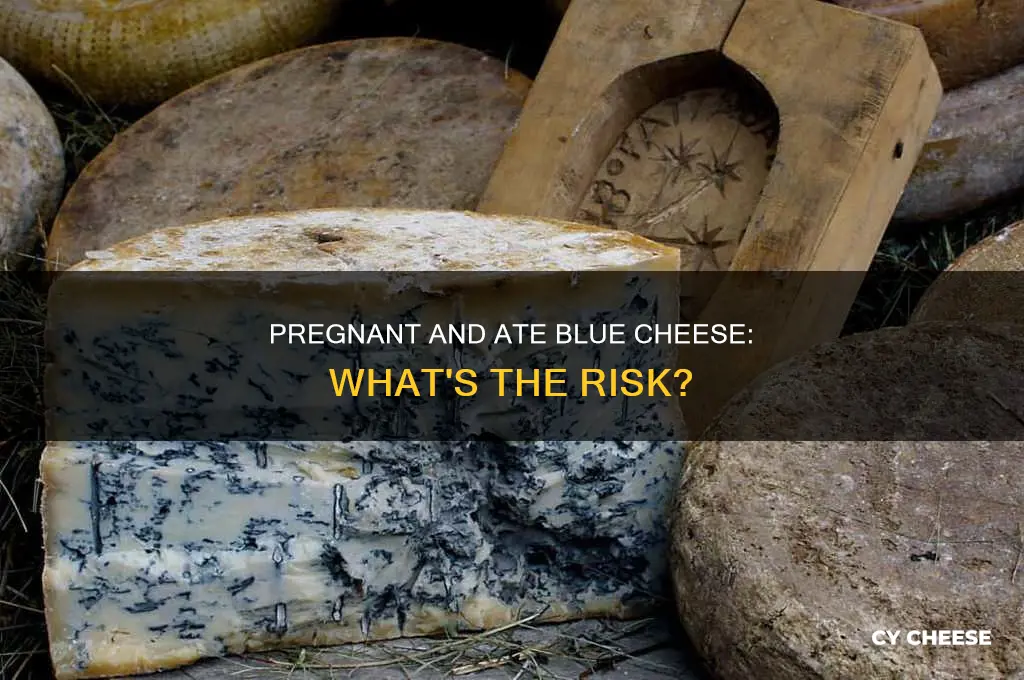 what if i accidentally ate blue cheese while pregnant