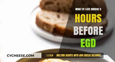 Cheese Before EGD: Impact on Procedure and Preparation Tips