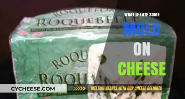 Accidentally Ate Mold on Cheese? Here's What You Need to Know