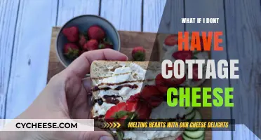 No Cottage Cheese? Creative Substitutes for Your Favorite Recipes