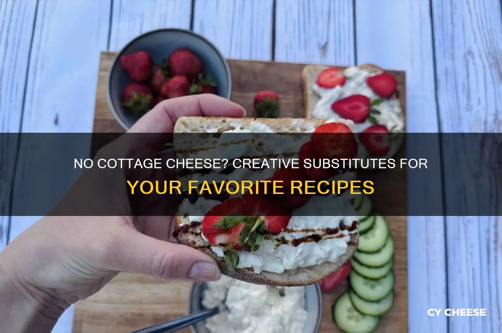 what if i dont have cottage cheese