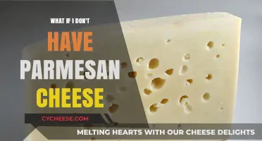 Smart Substitutes for Parmesan Cheese in Your Dish