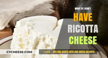 No Ricotta? No Problem: Creative Substitutes for Your Recipes