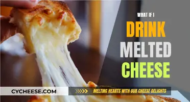Cheese Connoisseur's Melty Adventure: Drinking Melted Cheese