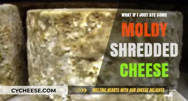 Moldy Cheese Mishap: Risks and What to Do After Eating It