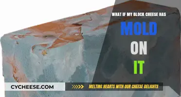 Moldy Block Cheese: Should You Cut It Off or Toss It?
