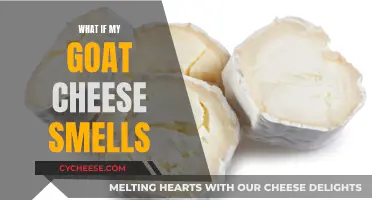 Goat Cheese Odor: What's Normal and What's Not?