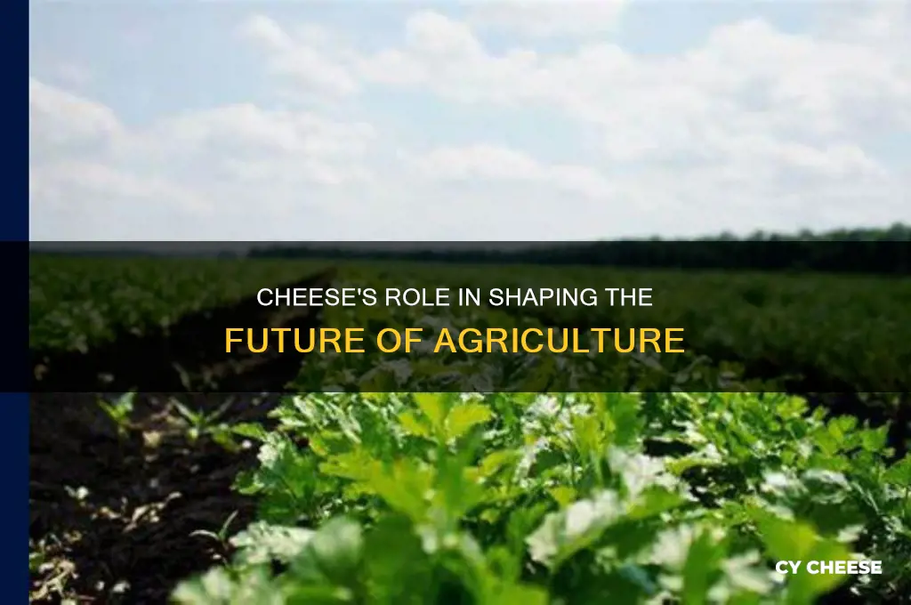 what impact does cheese have on the 2nd agriculture