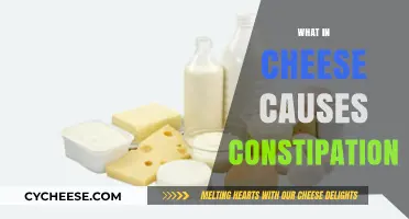 Cheese and Constipation: Uncovering the Dairy Culprit Behind Digestive Woes